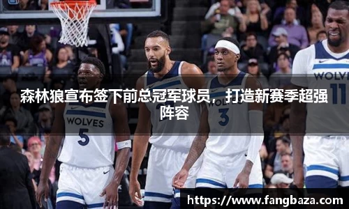 森林狼宣布签下前总冠军球员，打造新赛季超强阵容