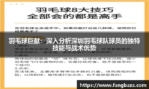 羽毛球巨献：深入分析深圳羽毛球队球员的独特技能与战术优势