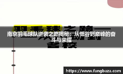 南京羽毛球队逆袭之路揭秘：从低谷到巅峰的奋斗与荣耀