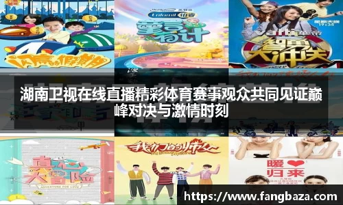 湖南卫视在线直播精彩体育赛事观众共同见证巅峰对决与激情时刻