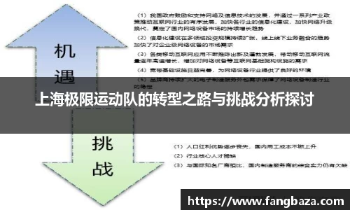 上海极限运动队的转型之路与挑战分析探讨