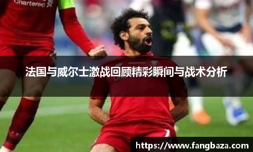 法国与威尔士激战回顾精彩瞬间与战术分析