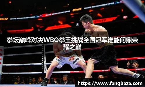 拳坛巅峰对决WBO拳王挑战全国冠军谁能问鼎荣耀之巅