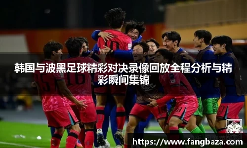 韩国与波黑足球精彩对决录像回放全程分析与精彩瞬间集锦