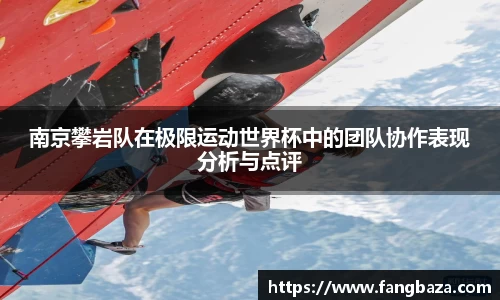 南京攀岩队在极限运动世界杯中的团队协作表现分析与点评