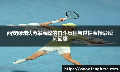 星空体育(中国)官方网站